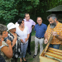 Am Bienenlehrstand in der Imkerschule Schwaben